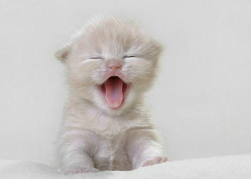 2019最新搞笑签名 你胖你丑我们是朋友