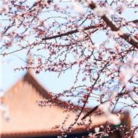 ���°������������ľ��Ӱ����������Լ�