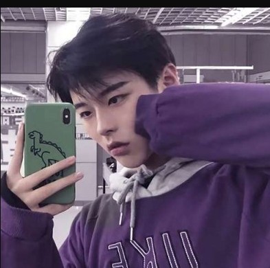 ��ѡ���鲻�õ�ʹ��������˸�ʫ��