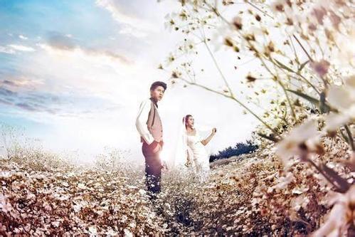 �͵��������������ں�������ǩ�� ˵˵