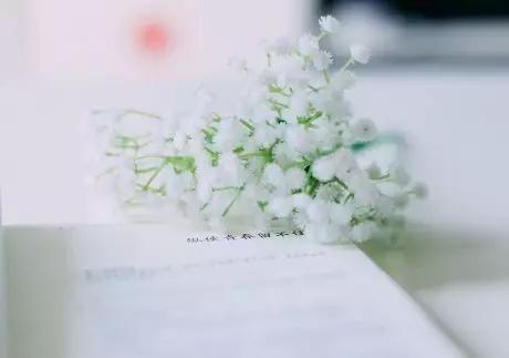 ������ƽ�������Ψ������ǳϫʱ��