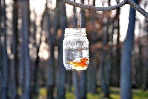 ���羭���Ц���� ����ô���������緭����