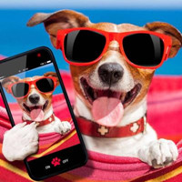 ��̸�Ц��ǩ��--��ʺ��ʱ����ƨ