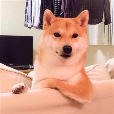 ���ȸ���ǩ���ж���Ц