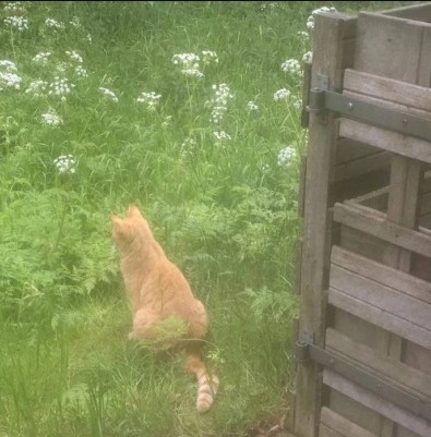 伤感的签名诗句--世间不再有我的地位