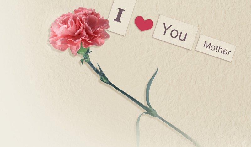 Ψ����Ӣ�ľ��� Ψ��Ӣ�ﾭ�����