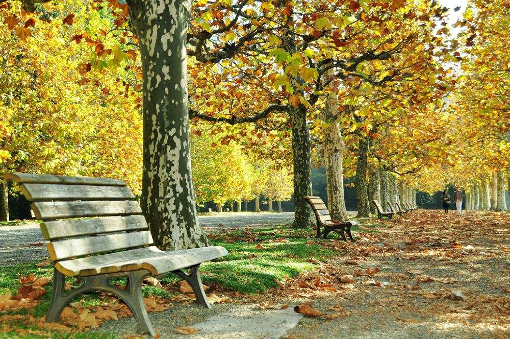 唯美有诗意好听的短句签名,说说