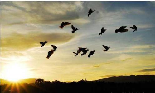 ������������ܶ�����־ǩ����ȫ