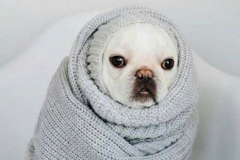 ���ڲ��빤���ĸ�Ц˵˵ �ϲ�ȥ�Ĺ����²�ȥ������