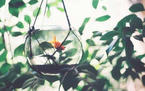 ��־�ľ��ӣ����Լ���̵Ļ�