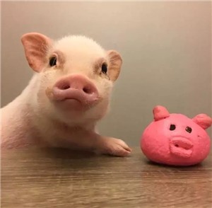 ��Ĭڶг�ĸ���ǩ����������Ц