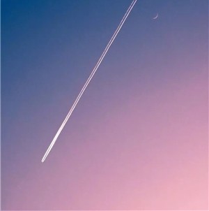 �ǳ��˸���į�ĸ���ǩ�����˵���Ŀ���