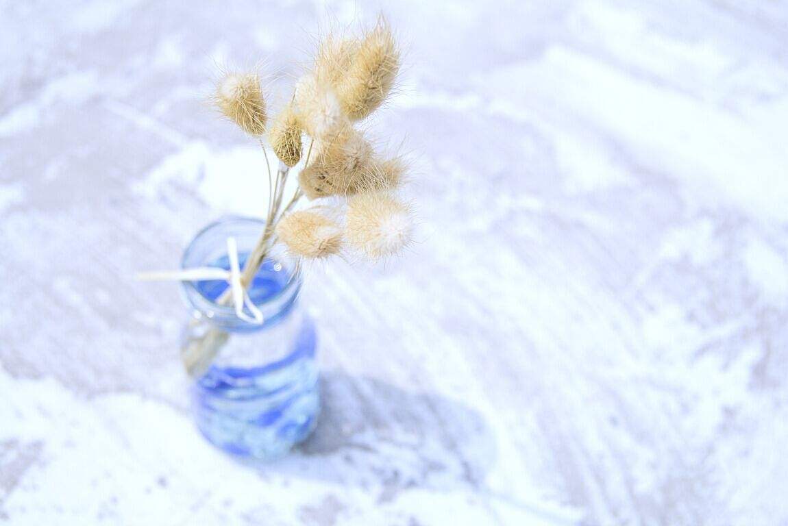 2018���պ�����Ů��ǩ������������, �oŵ���N