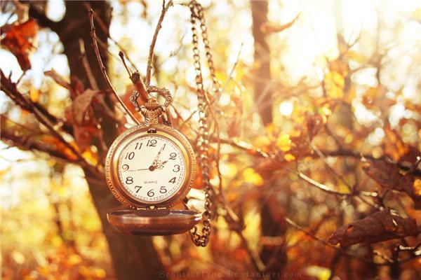 ������������һ�仰��־˵˵ �пն�Ŭ��