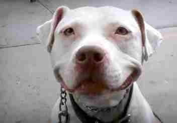 ��Ц����ȴ˵�ľ�������ĸ���ǩ��