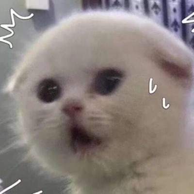 ��㿨ͨͷ��--���˺���