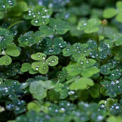 ɭϵ�ķ羰����ͼƬ--���ܱ仯