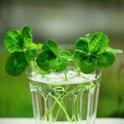 ɭϵ�ķ羰����ͼƬ--���ܱ仯