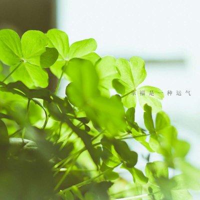 ɭϵ�ķ羰����ͼƬ--���ܱ仯