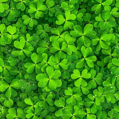 ɭϵ�ķ羰����ͼƬ--���ܱ仯