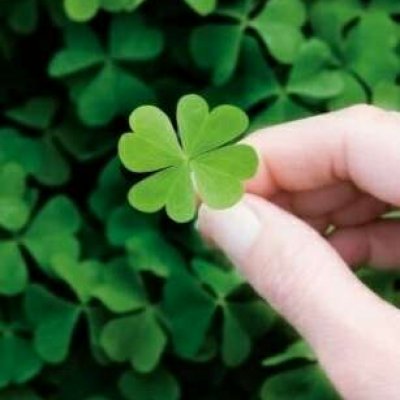 ɭϵ�ķ羰����ͼƬ--���ܱ仯