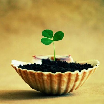 ɭϵ�ķ羰����ͼƬ--���ܱ仯