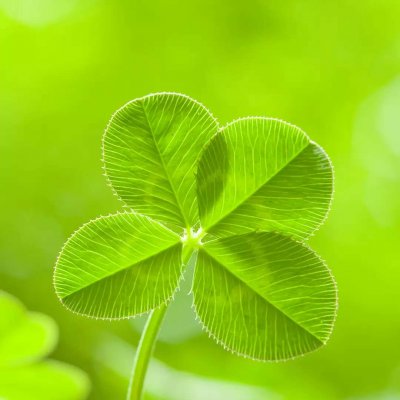 ɭϵ�ķ羰����ͼƬ--���ܱ仯