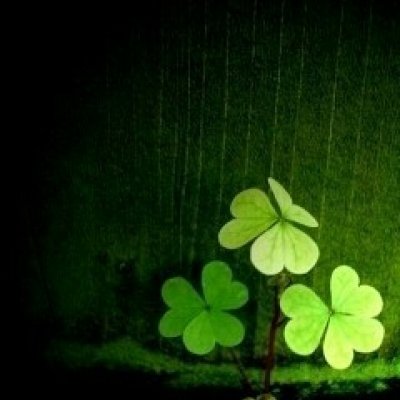 ɭϵ�ķ羰����ͼƬ--���ܱ仯