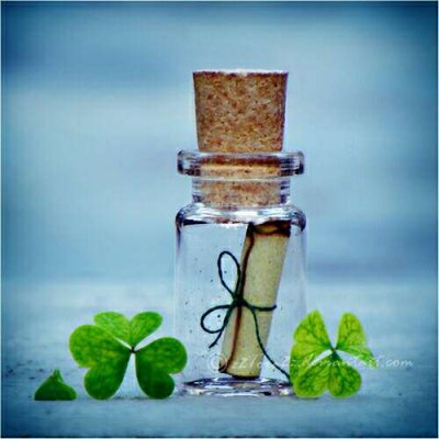 ɭϵ�ķ羰����ͼƬ--���ܱ仯