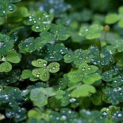 ɭϵ�ķ羰����ͼƬ--���ܱ仯