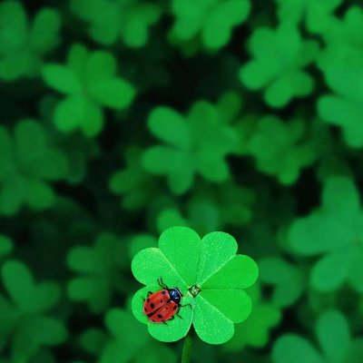 ɭϵ�ķ羰����ͼƬ--���ܱ仯