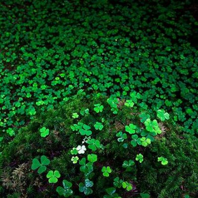 ɭϵ�ķ羰����ͼƬ--���ܱ仯