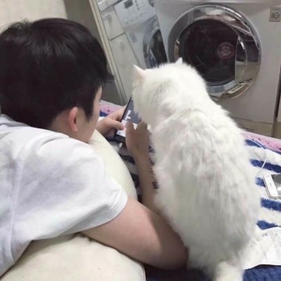 ˧�����Գ���������ͷ��--��Ҫ��ȫ����