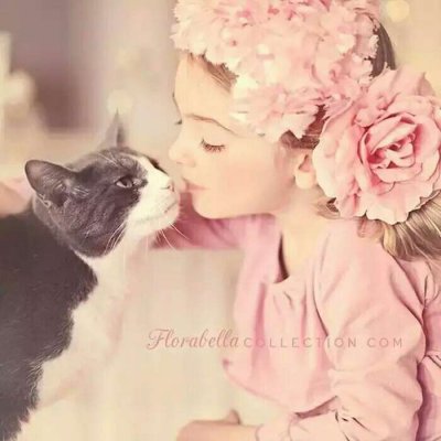 ΢����������ͷ���������--������İ�����