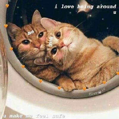 ��ͥ�ȳ�ɰ�Сè��ͷ��ѡ