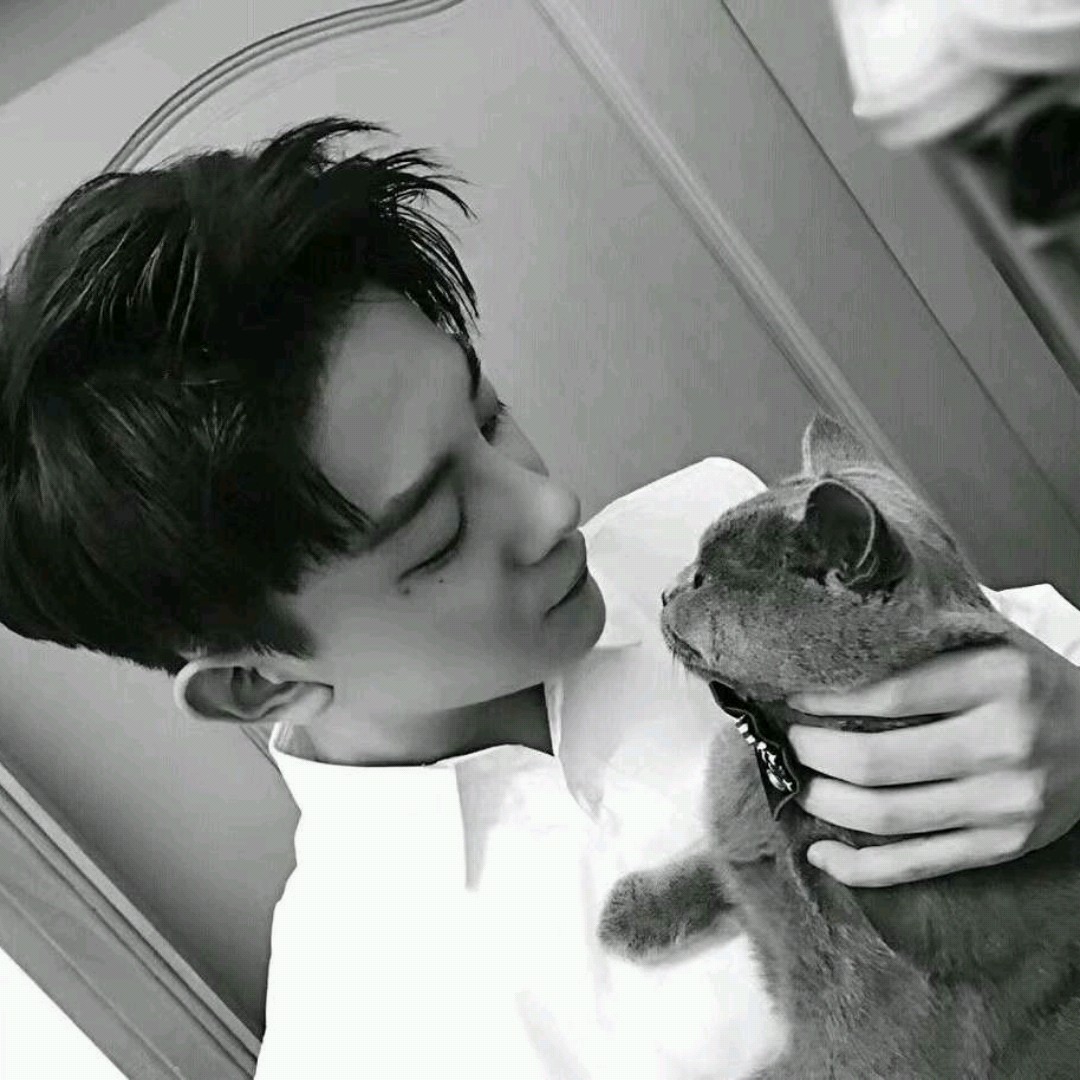 ˧�������ڰ׸���ͷ��-����˭�����Ե�����