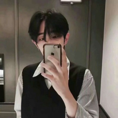 �ֻ���˧������ͷ�� �ص��ֻ�˵����