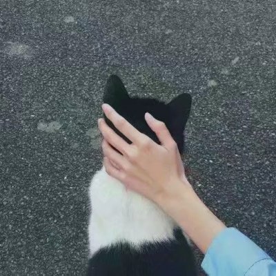 �ֿظ�������������Ҫ���ֲ���дͼƬ