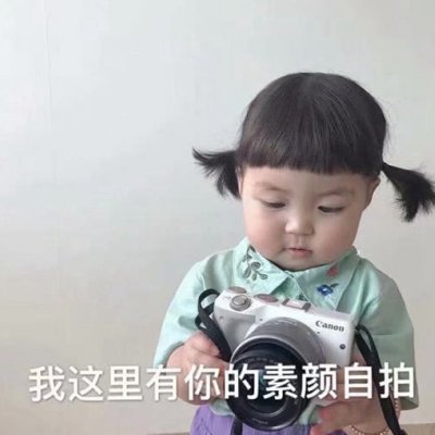 �ɰ�����ͷ��--��ʳ�����ҵ�