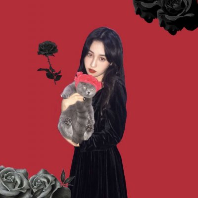 �������еİ���Ů��ͷ�񡪡�������