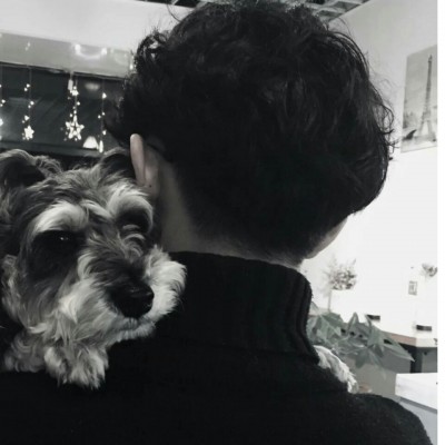 ʧ��ҹ��ĺڰ�����ͷ��