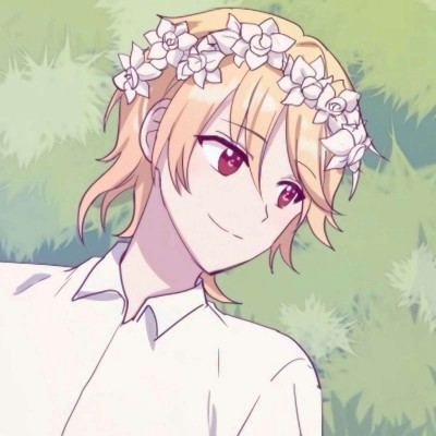 �ɰ������۵Ķ�������ͷ�� ��δ����������