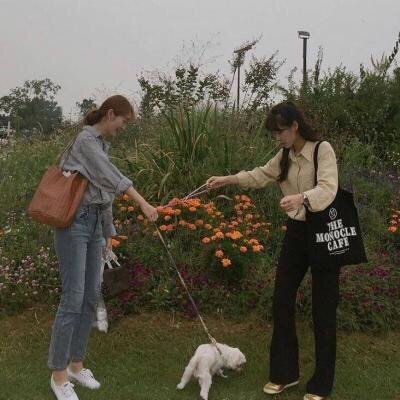 �ഺ����Ĺ�������ͷ��--�պ�����