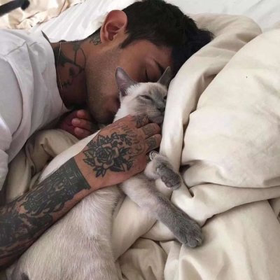 ŷ��˧��������ͼ