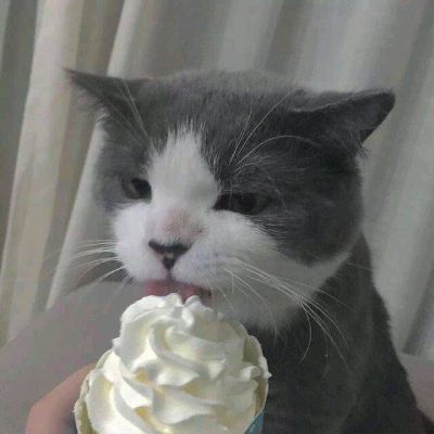 ΢�ų��ȿɰ�è�䶯��ͷ�� ����Զ�����Сè��