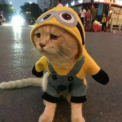 ΢�ų��ȿɰ�è�䶯��ͷ�� ����Զ�����Сè��