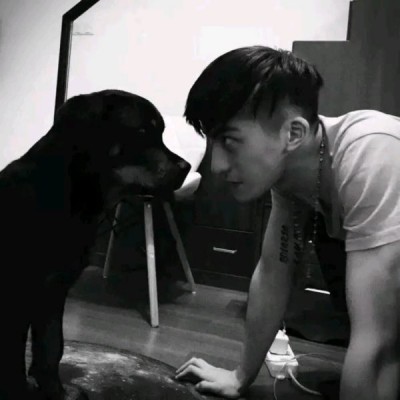 ����������������ͷ��