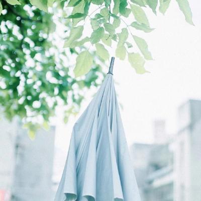 ΢�ſɰ�С����ͼƬ��ȫ ����õ��Լ������õ���