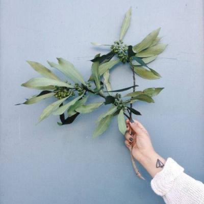 ΢�ſɰ�С����ͼƬ��ȫ ����õ��Լ������õ���