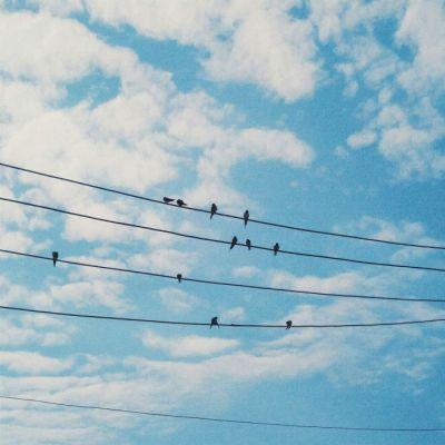 ΢�ſɰ�С����ͼƬ��ȫ ����õ��Լ������õ���